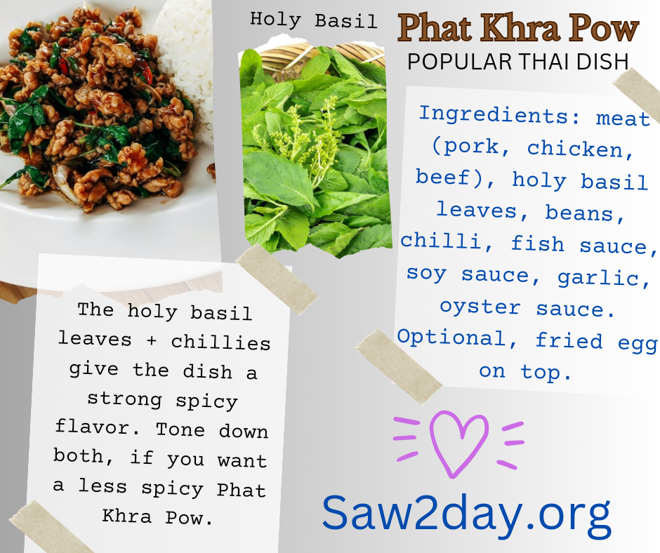 phat khrap pow popular thai food