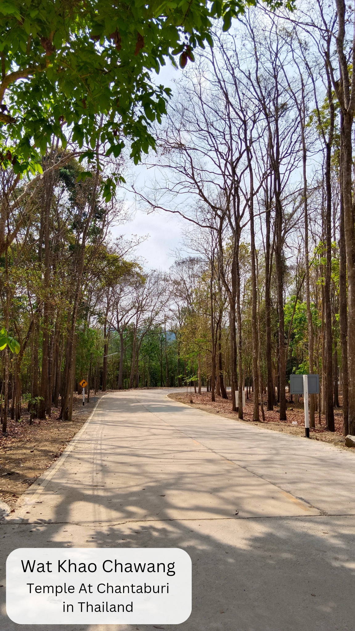 forested hill in thailand at Chantaburi temple